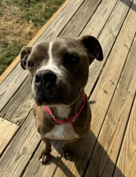 Ivoryivy thumbnail 5