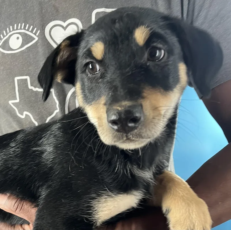 Shanti  Local April thumbnail 2