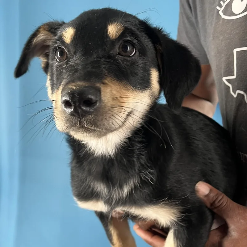 Shanti  Local April thumbnail 3