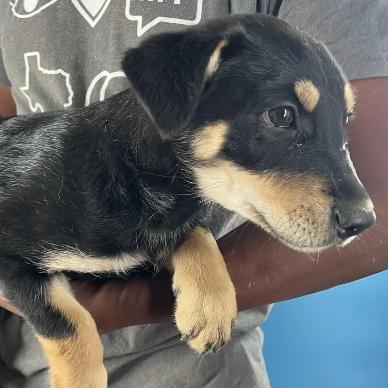 Shanti  Local April thumbnail 4