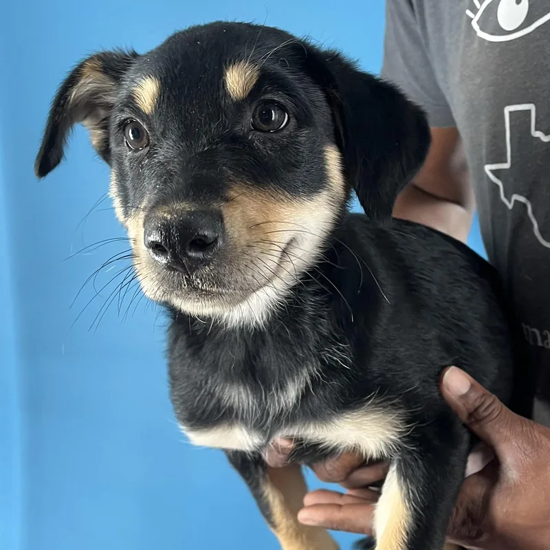 Shanti  Local April thumbnail 5