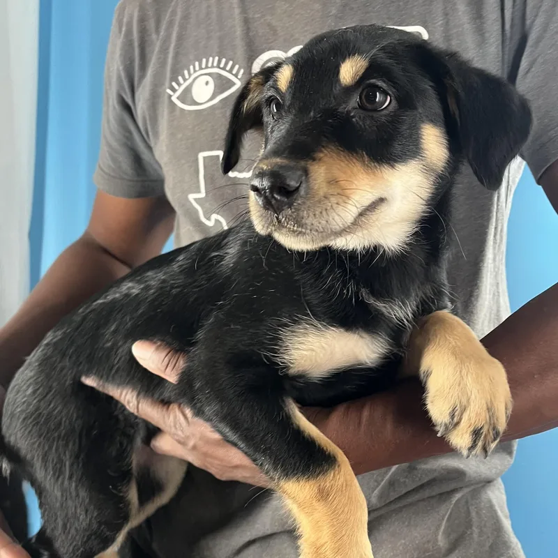 Shanti  Local April thumbnail 6