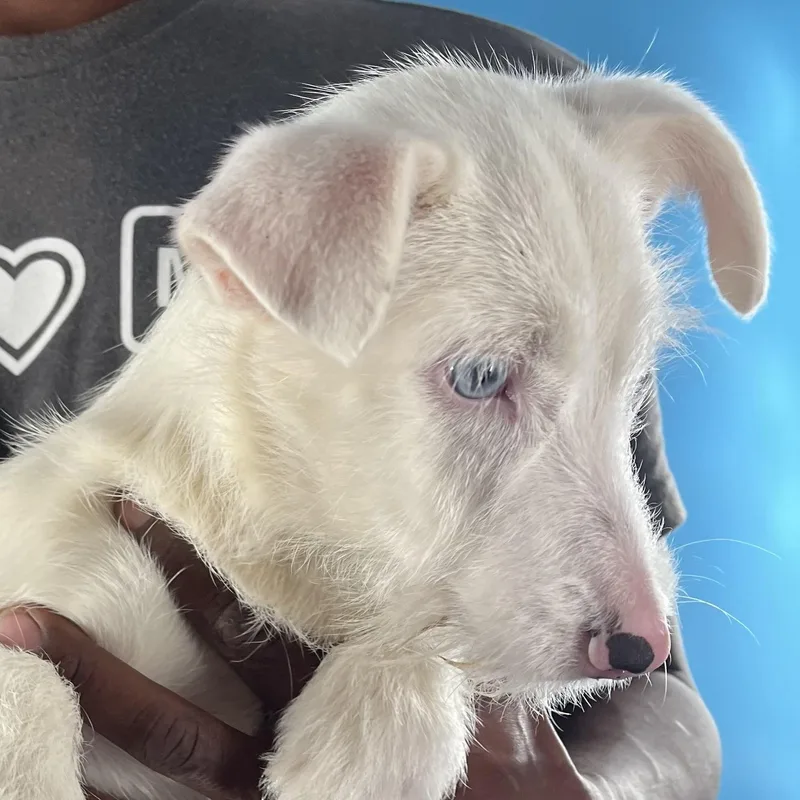 Tubbs  Local April thumbnail 3