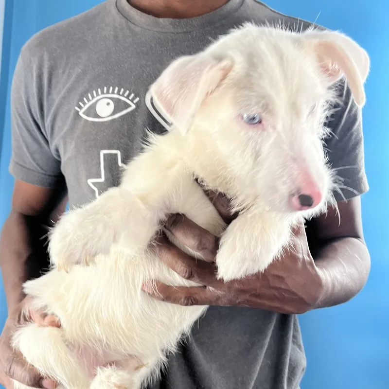 Tubbs  Local April thumbnail 4