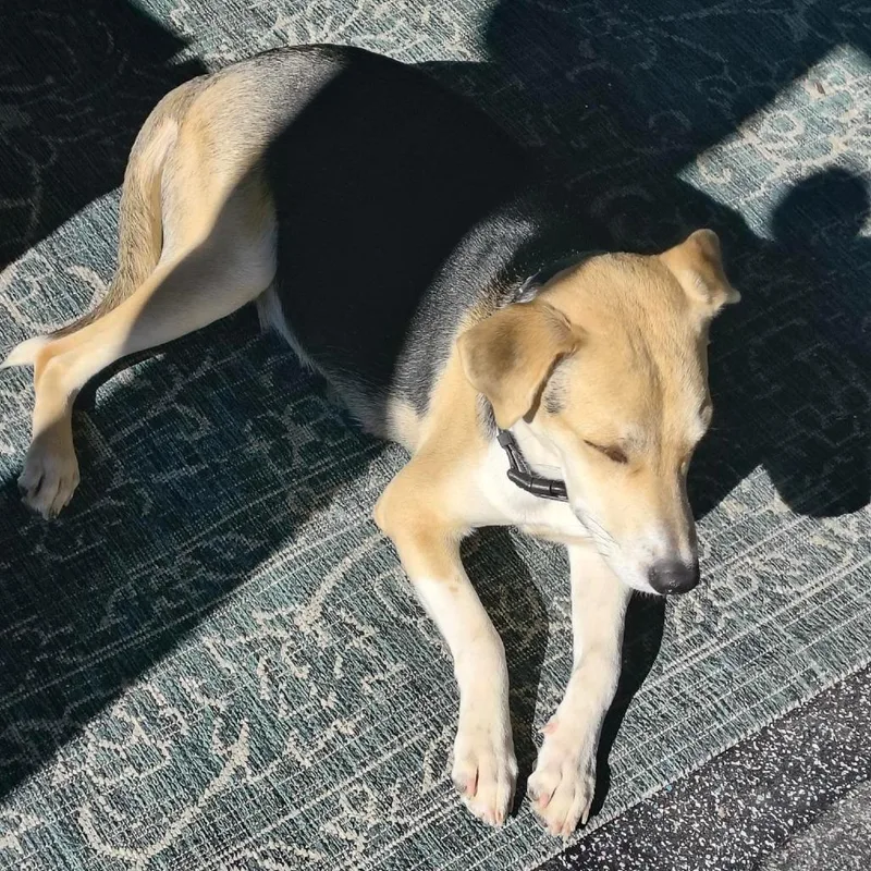 Princess Peach thumbnail 2