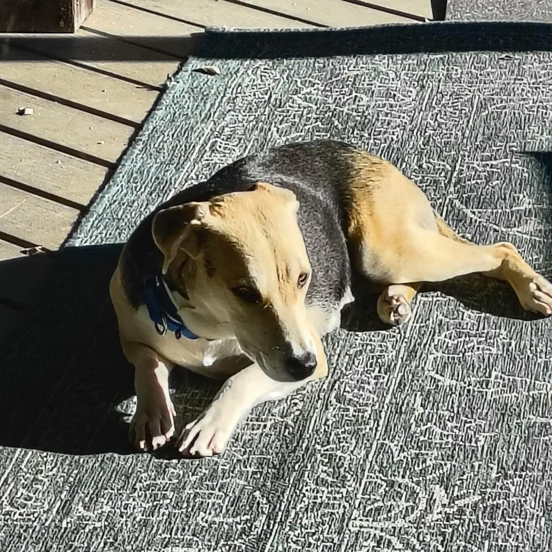 Princess Peach thumbnail 4