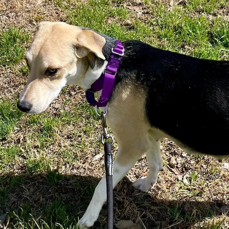 Princess Peach thumbnail 5