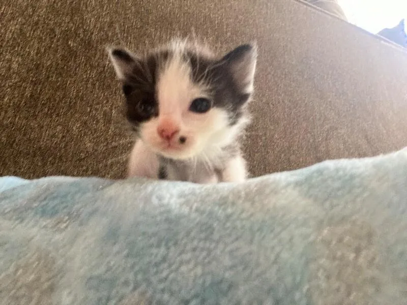 Scarlett Johansson thumbnail 5