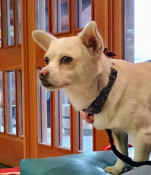 Sherlock thumbnail 2