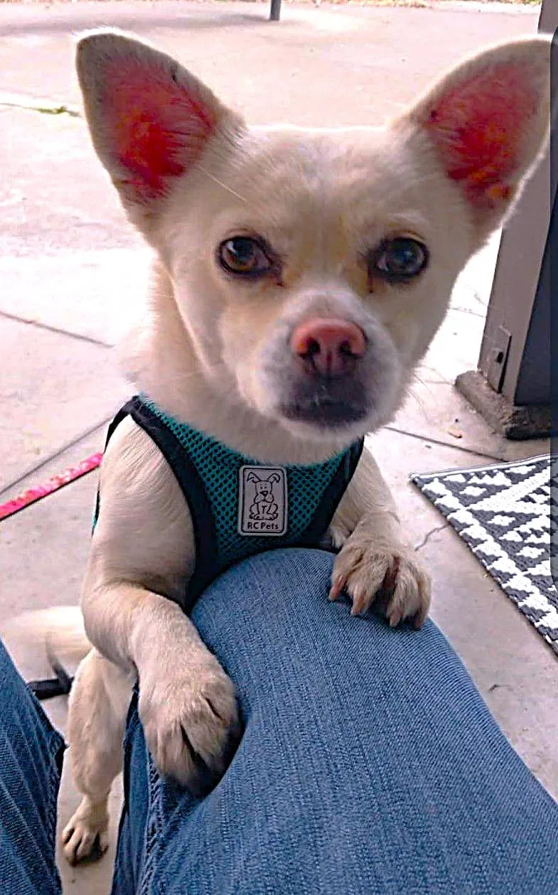 Sherlock thumbnail 3