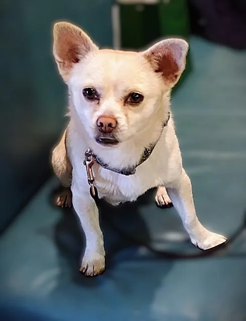 Sherlock thumbnail 4