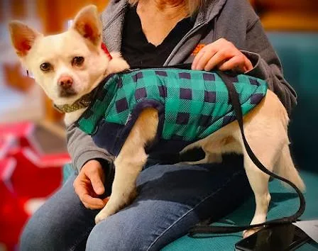 Sherlock thumbnail 6