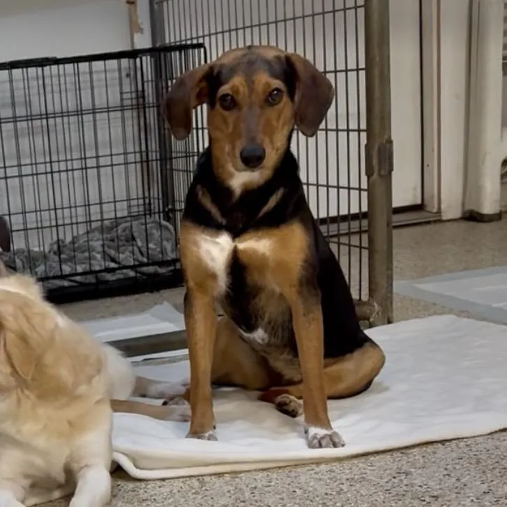 Mae West thumbnail 5