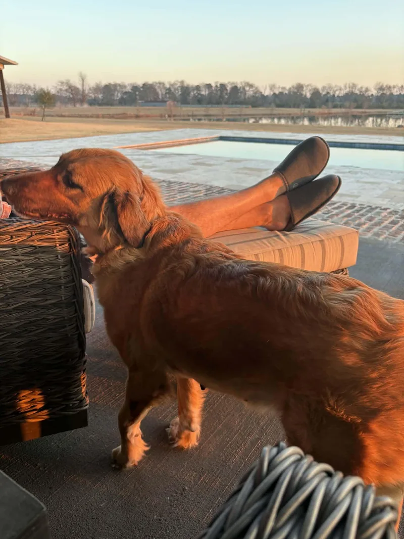 Ella Woodlands  Tx thumbnail 3