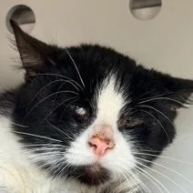 Business thumbnail 2