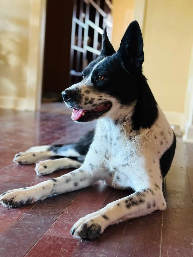 Lois Lane thumbnail 2