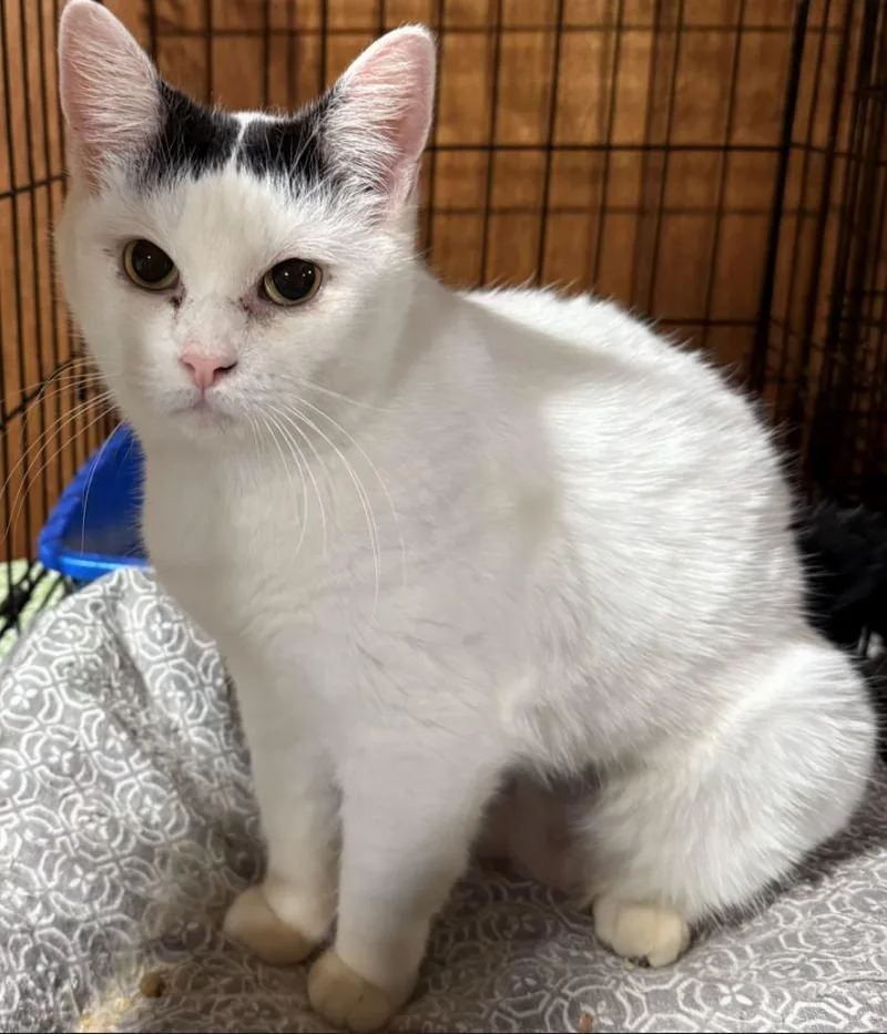 Helga  Sweetest Lil'