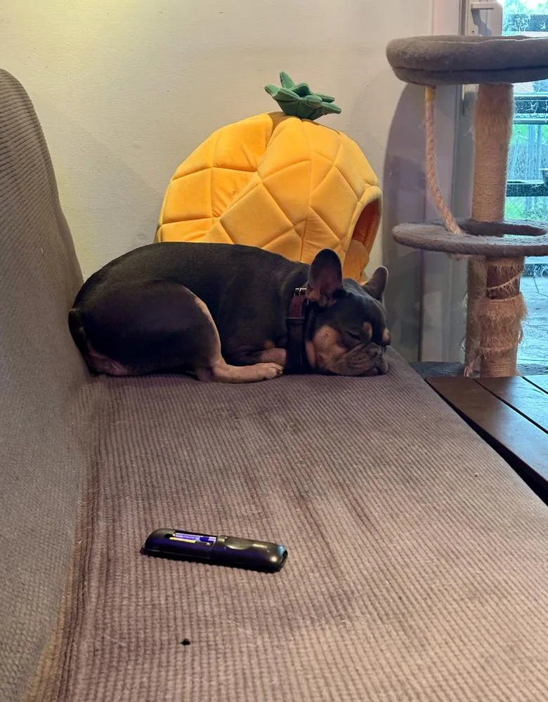 Bailey Risotto   thumbnail 2