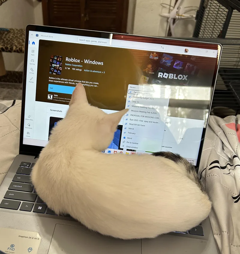 Harley Barley thumbnail 2