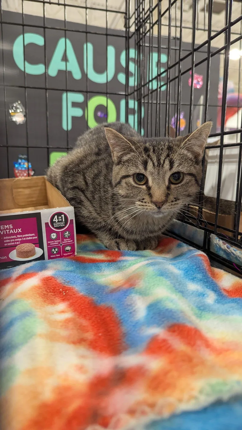 Pistachio thumbnail 2