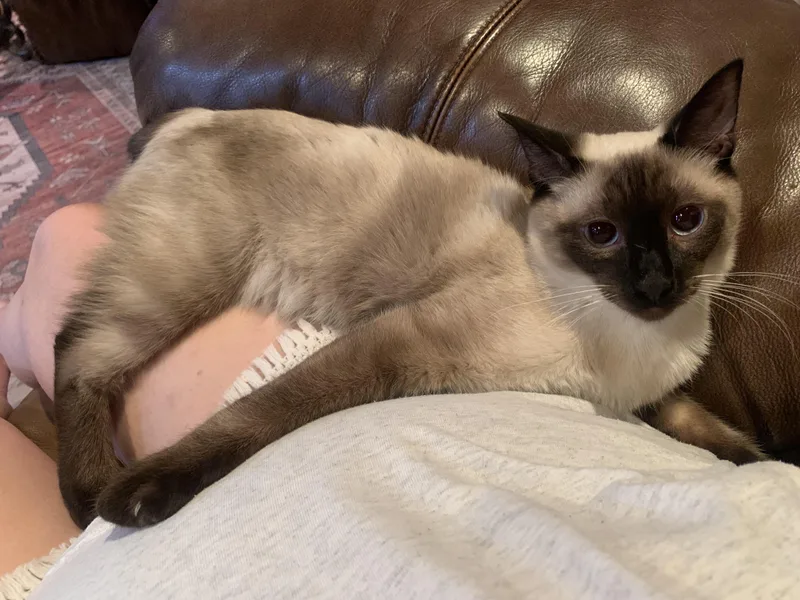 Hollywood thumbnail 2