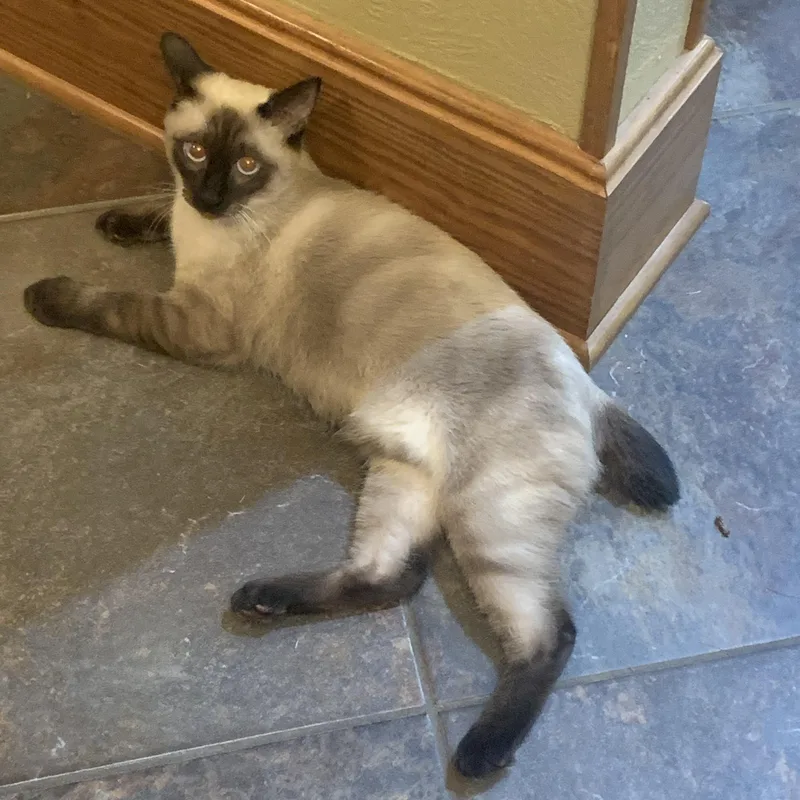 Hollywood thumbnail 5