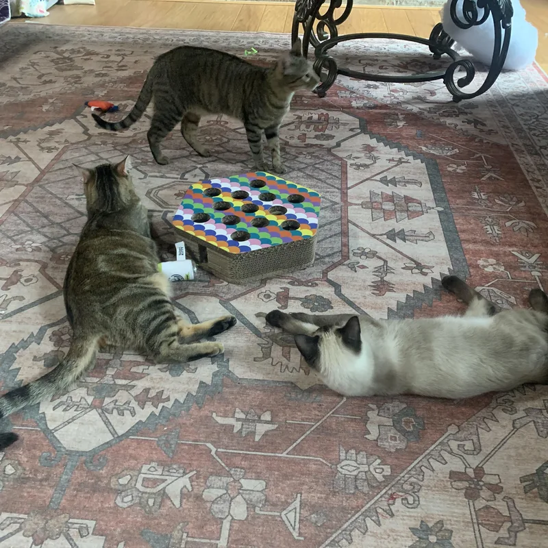 Wowza  Lovely Lyla thumbnail 2