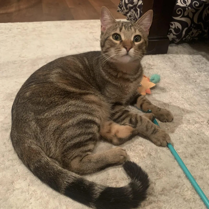 Wowza  Lovely Lyla thumbnail 3