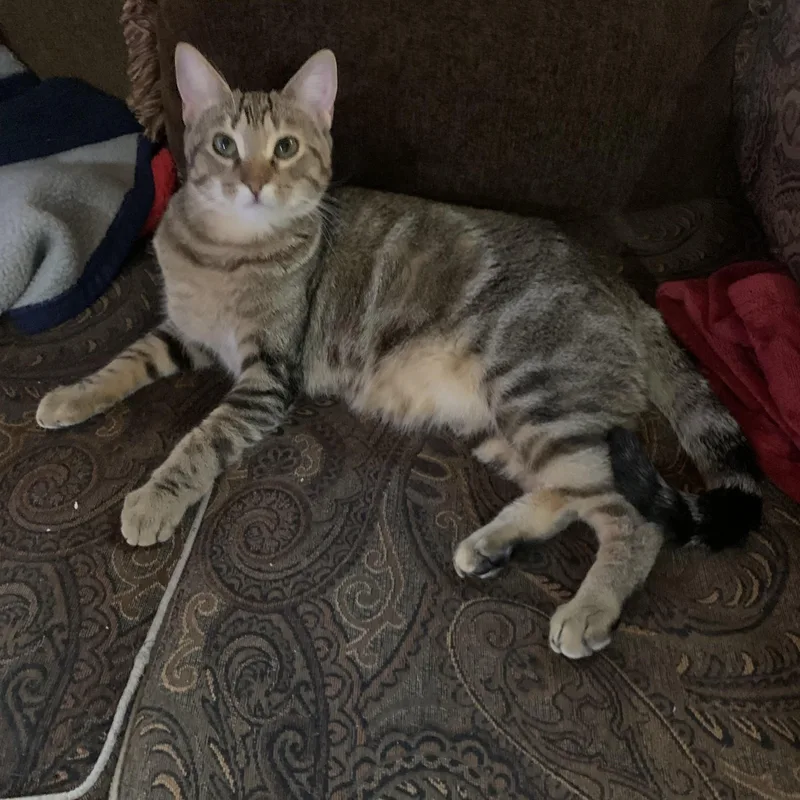 Wowza  Lovely Lyla thumbnail 4