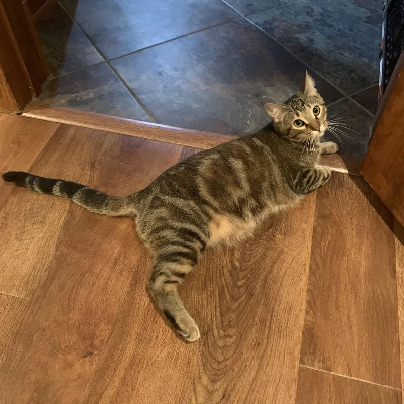 Wowza  Lovely Lyla thumbnail 5