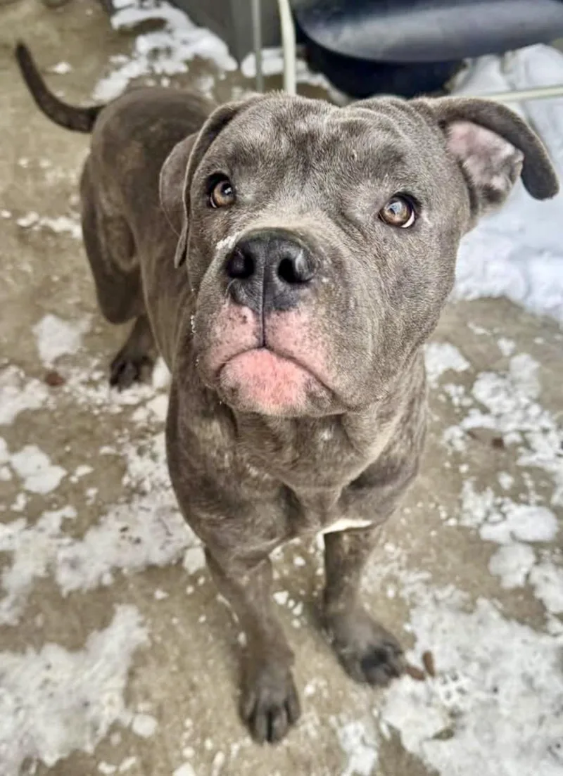 Hollywood thumbnail 2