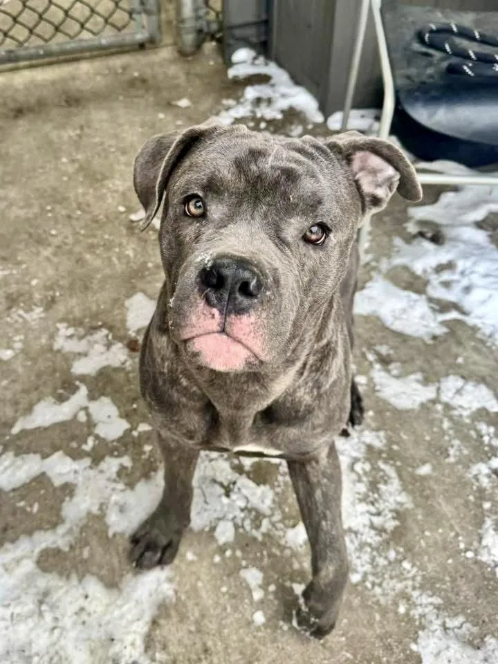 Hollywood thumbnail 3