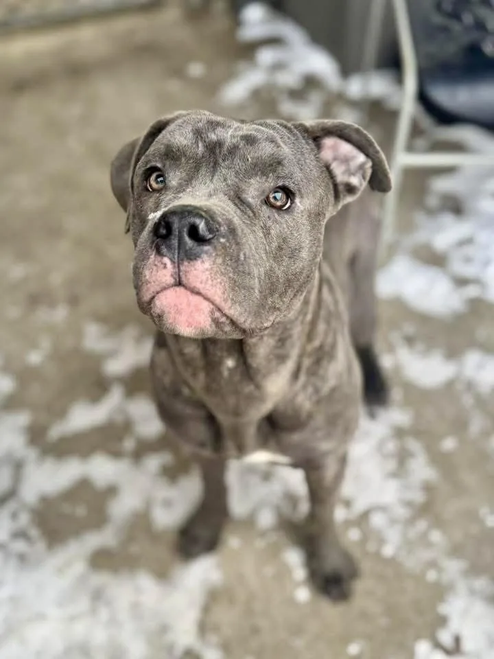 Hollywood thumbnail 4