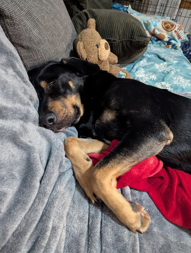 Flanagan thumbnail 2