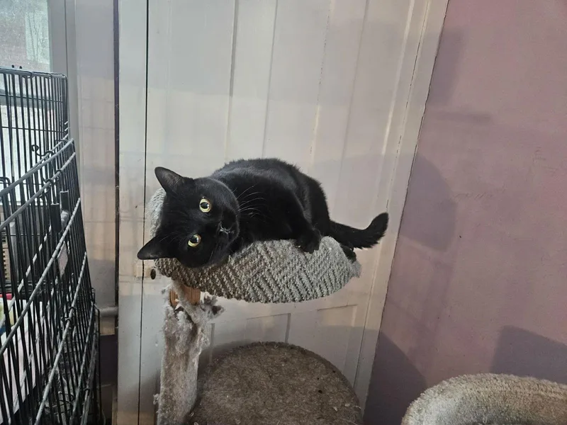 Mercedes thumbnail 3