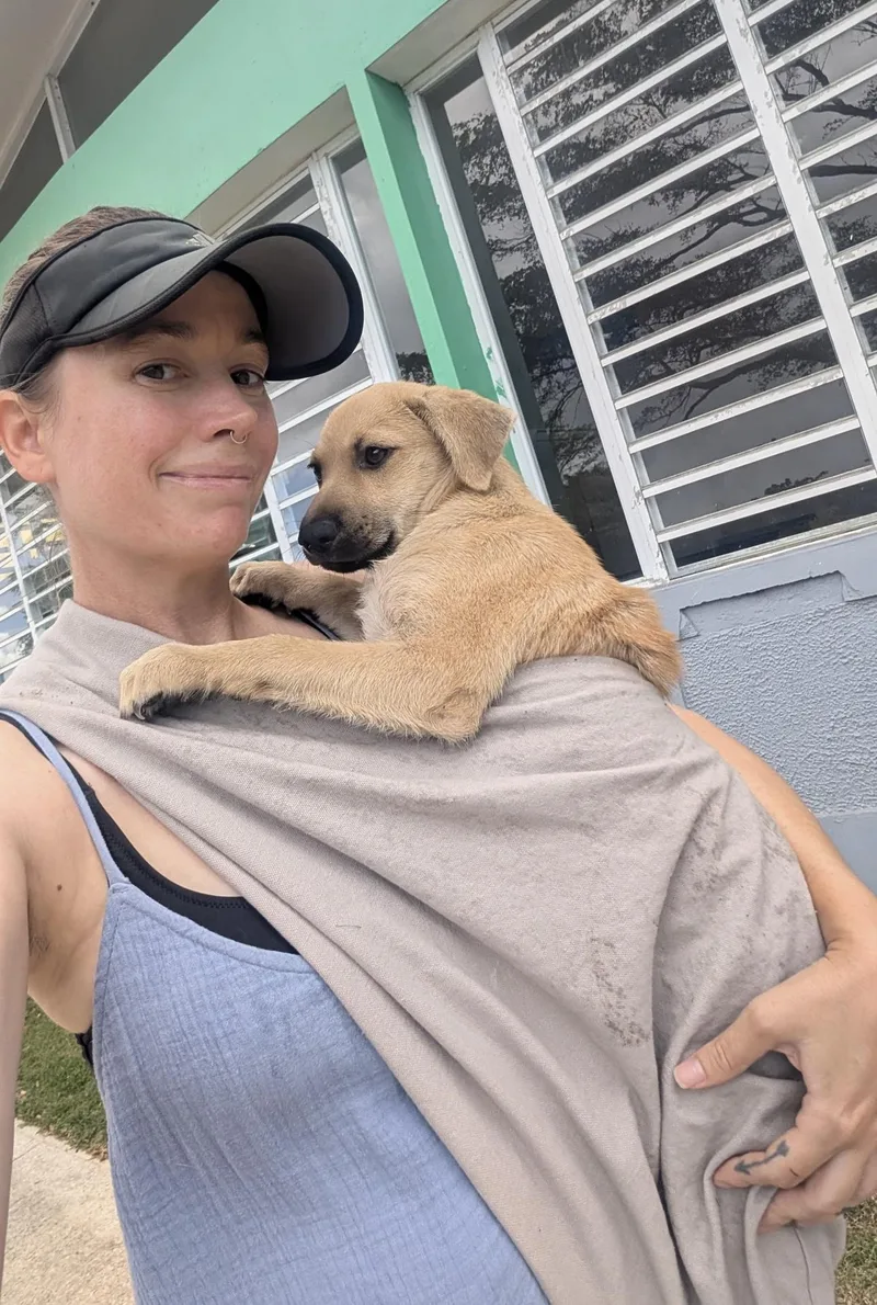 Mitzy  Literally The thumbnail 2