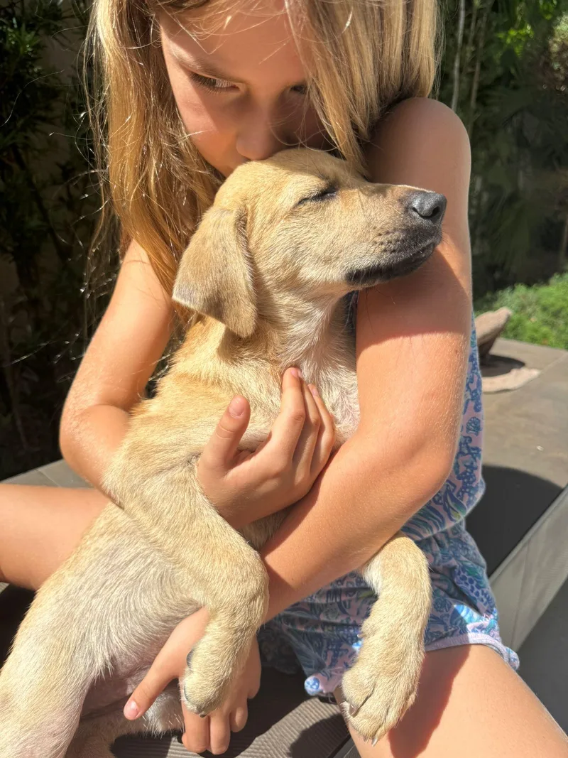 Mitzy  Literally The thumbnail 4