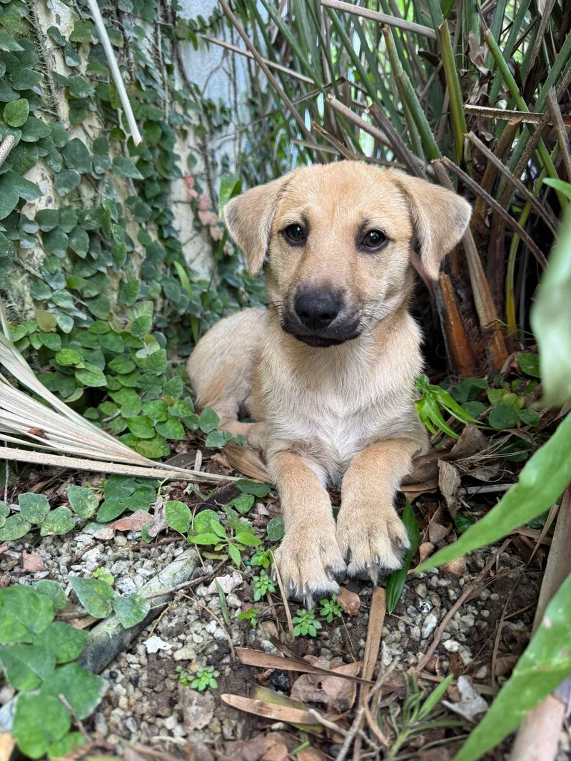 Mitzy  Literally The thumbnail 5