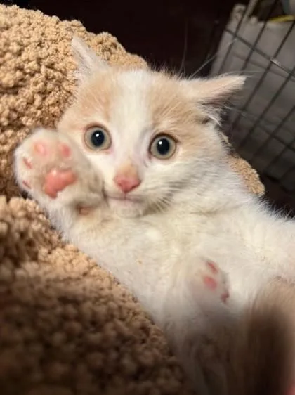 Mary Ann thumbnail 2