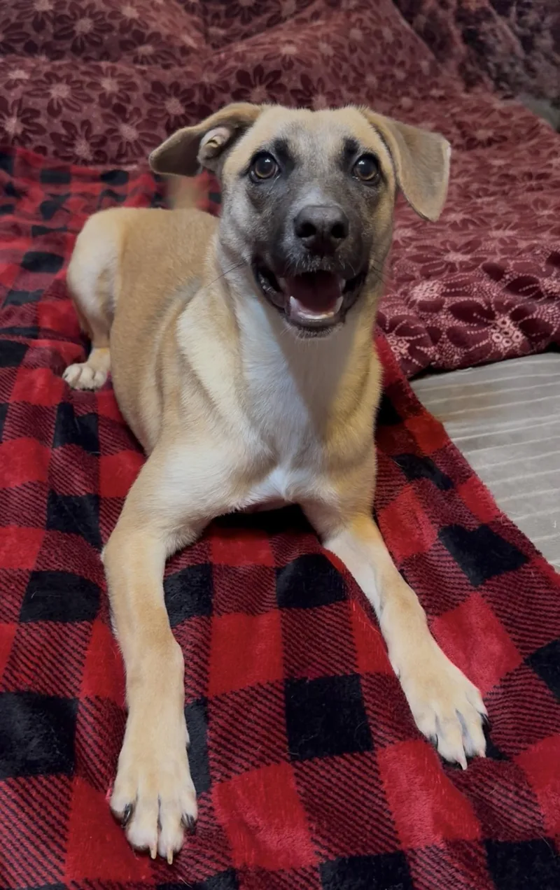 Wonderful Rue thumbnail 2