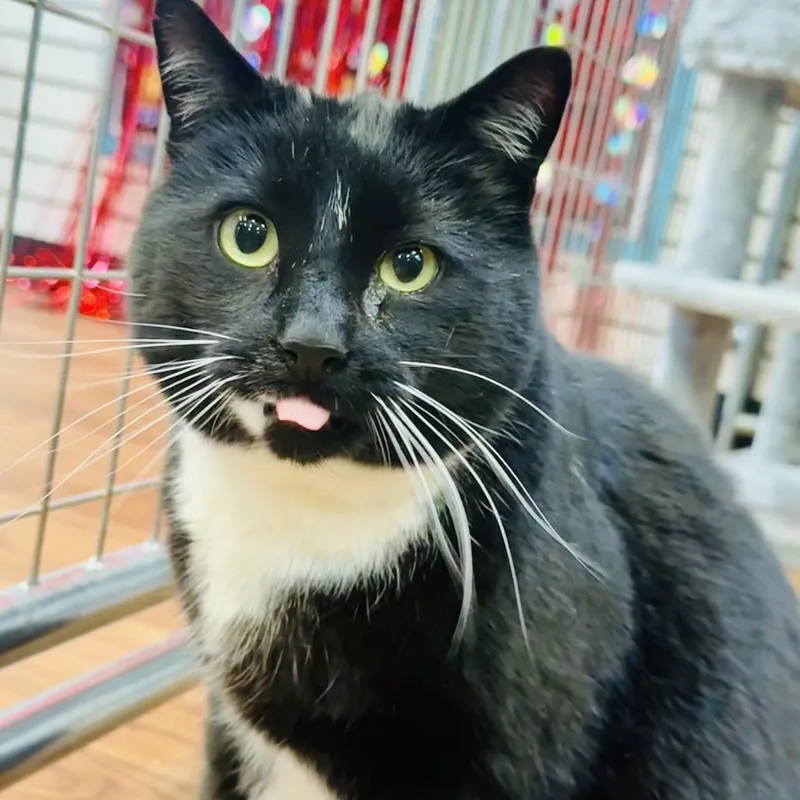 Mr. Beebs thumbnail 2