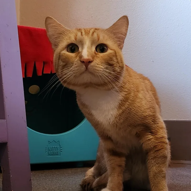 Mandalay thumbnail 3