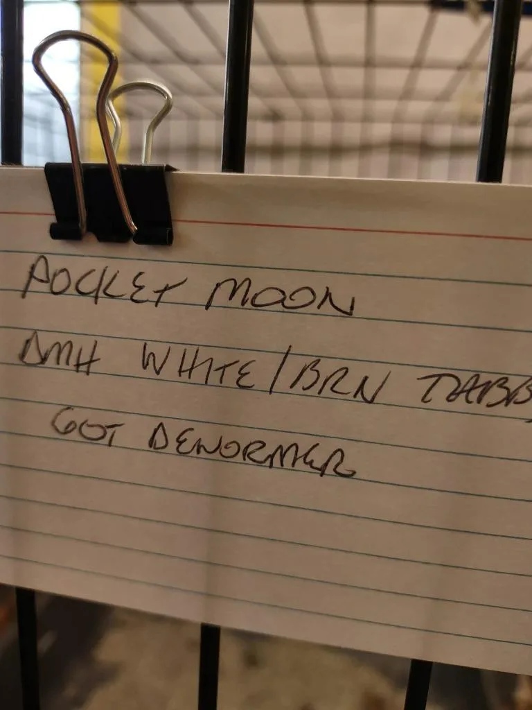 Pocket Moon thumbnail 2