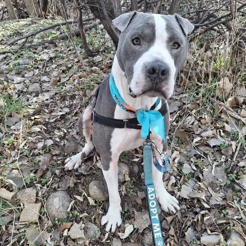 Lil' Ears Mcgee photo 1