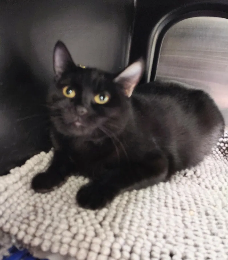 Winnifred thumbnail 2