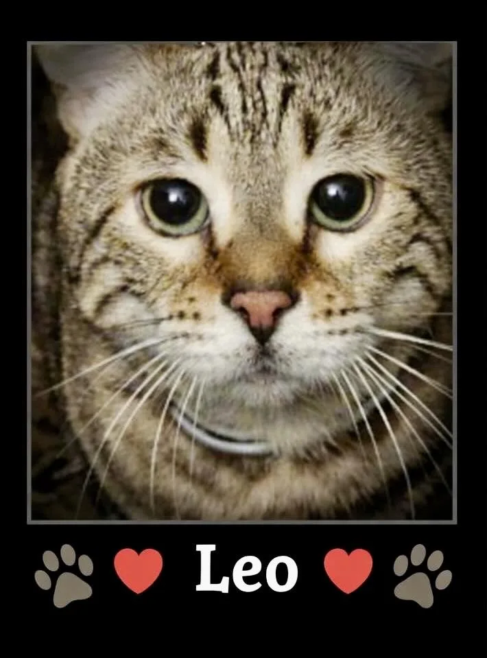 Leo