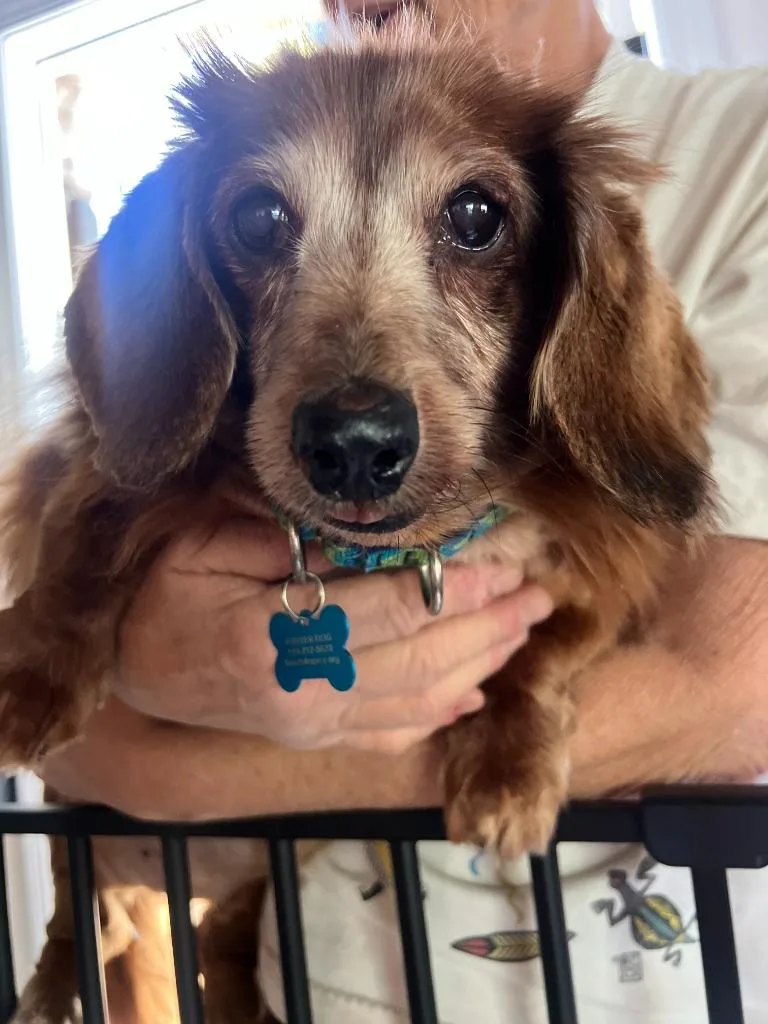 Scarlett thumbnail 3