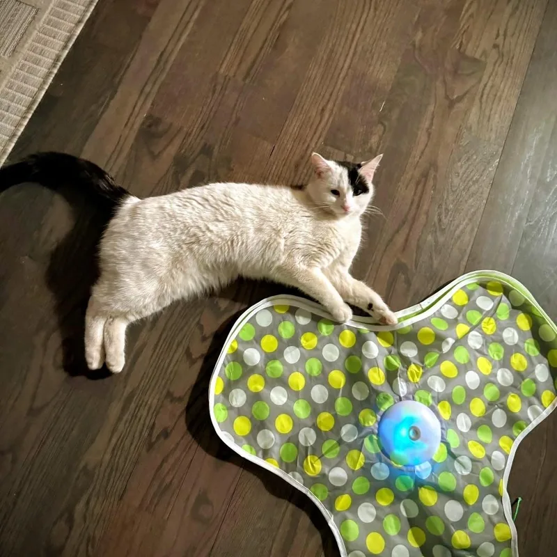 Penelope thumbnail 5