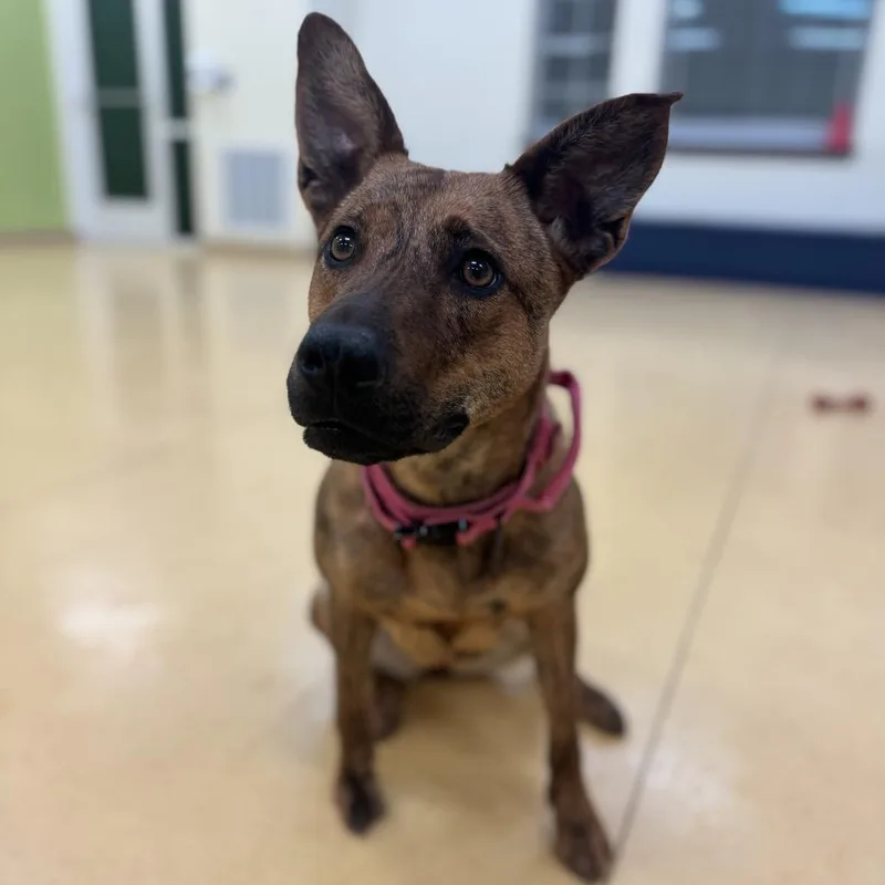 Princess thumbnail 3