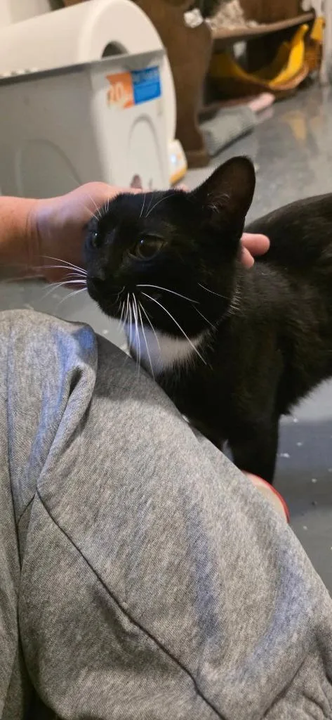 Stubby Sue thumbnail 2